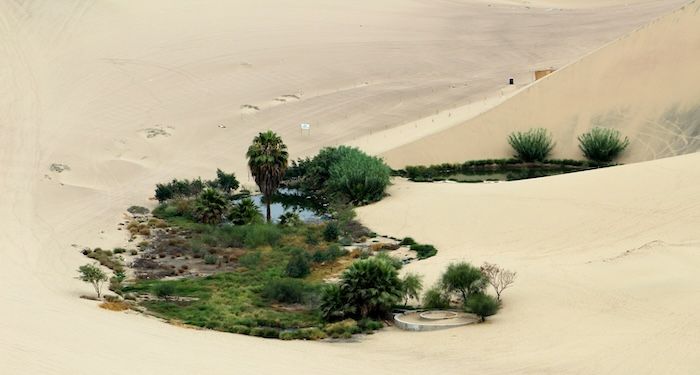 Bringing an Oasis to the Book Desert