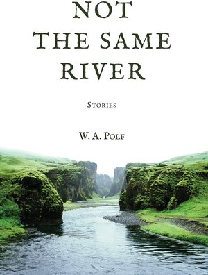 NOT THE SAME RIVER | Kirkus Reviews